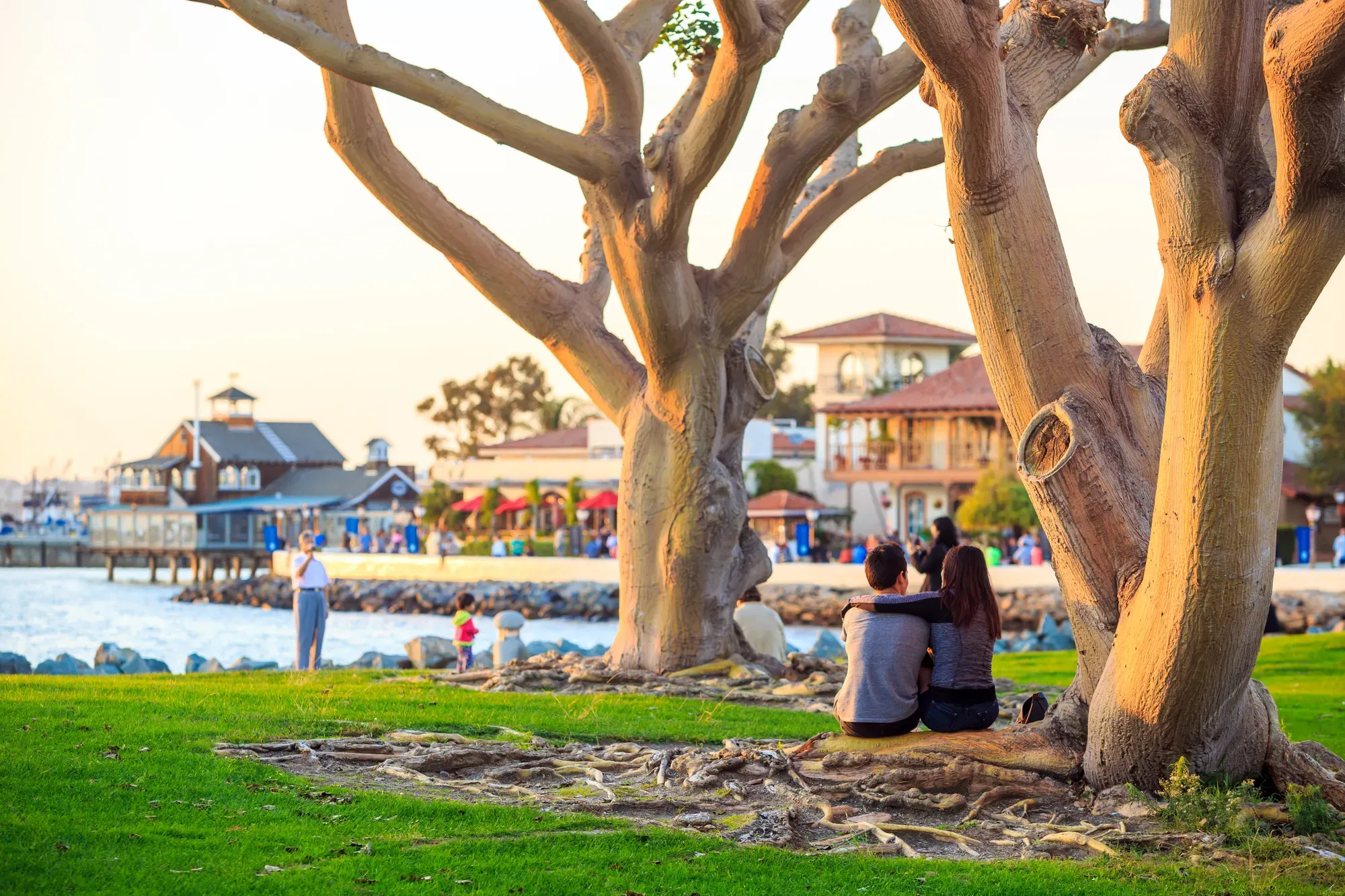 A couple under the coral trees on the San Diego bay walk