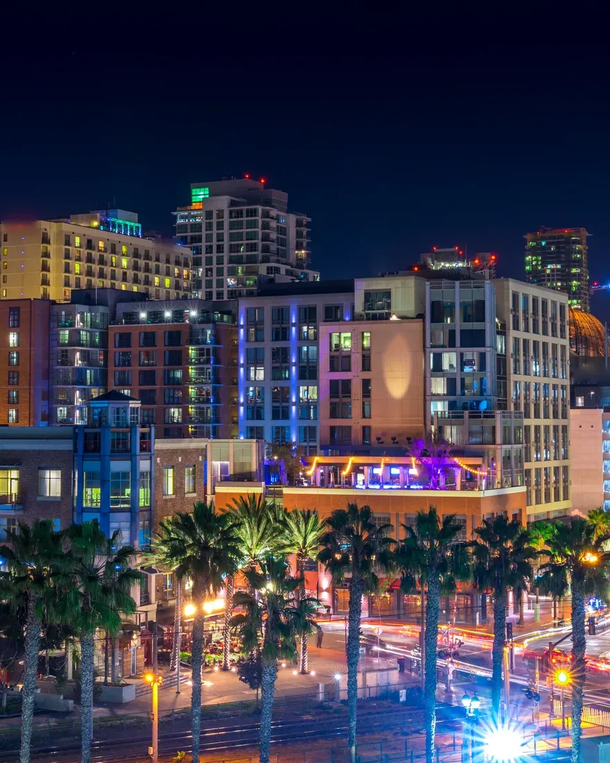 East Village rooftops and palm trees lit up at night