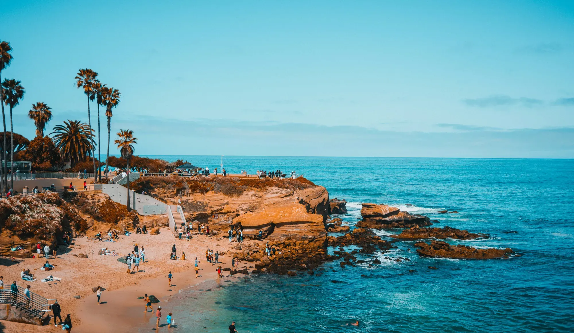 Sea lions on the rocks below Ellen Browning Scripps Park at La Jolla Cove, late in the afternoon