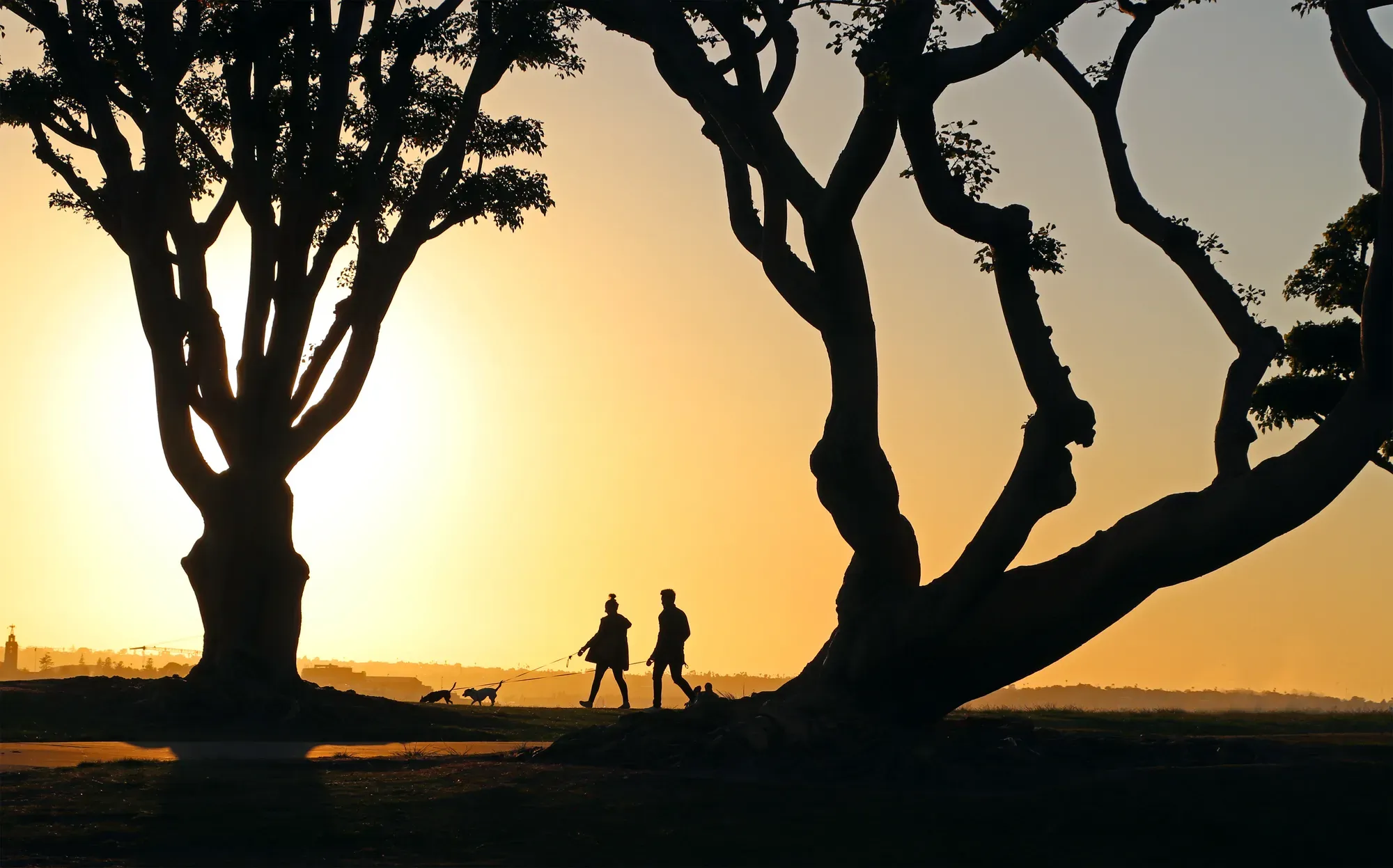 Two people walking their dogs at Sunset Cliffs as the sun goes down